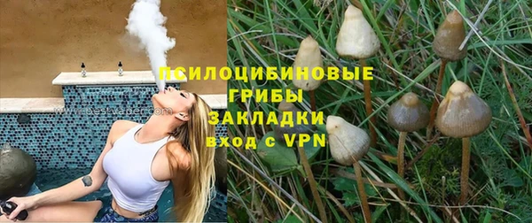 ГАЛЛЮЦИНОГЕННЫЕ ГРИБЫ Балабаново