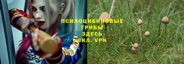 ГАЛЛЮЦИНОГЕННЫЕ ГРИБЫ Балабаново